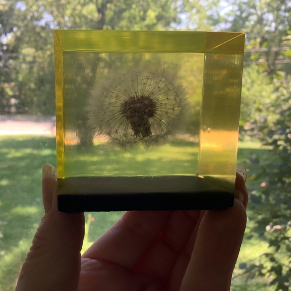 Mid Century Dandelion Flower Lucite Cube Paperweight by Gumps USA 1960s - Picture 9 of 10